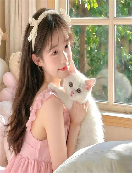 寻宝智多星和其他作品相比如何？对比分析与评价